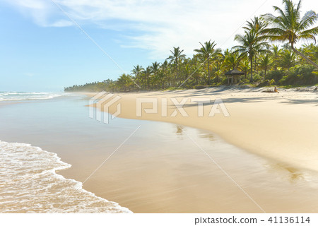Water reflection on a large sand beach Water reflection on a large sand beach 41136114