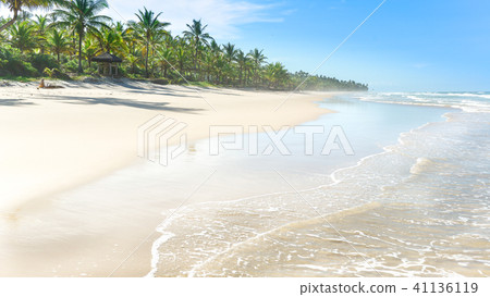 Water reflection on a large sand beach Water reflection on a large sand beach 41136119
