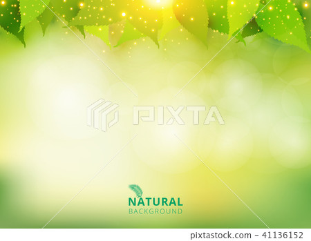 Spring summer natural green background with leaves Spring summer natural green background with leaves 41136152
