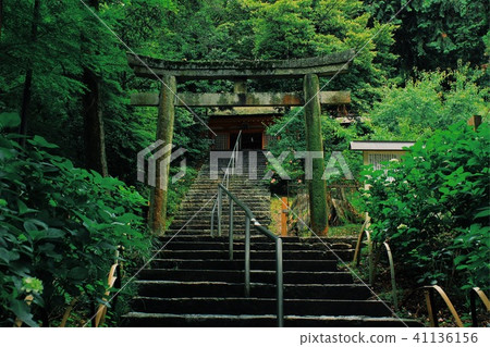 Torii Torii 41136156