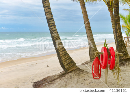 Beach with Palm trees and a ring buoy Beach with Palm trees and a ring buoy 41136161