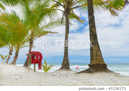 Beach with Palm trees and a ring buoy 41136173