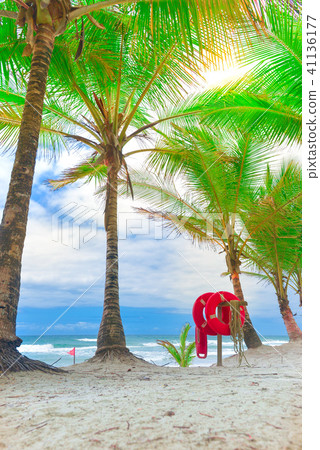 Red life buoy with rope and a flag Red life buoy with rope and a flag 41136177