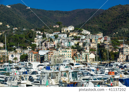 Boats in harbor of Rapallo, Italy Boats in harbor of Rapallo, Italy 41137202