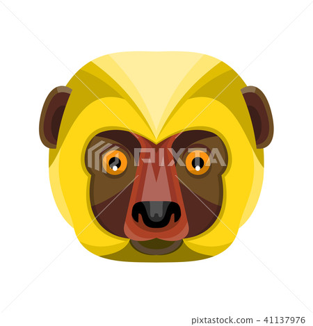 Diademed Sifaka Lemur Head Flat Icon Diademed Sifaka Lemur Head Flat Icon 41137976