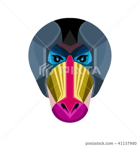 Male Mandrill Head Flat Icon Male Mandrill Head Flat Icon 41137980
