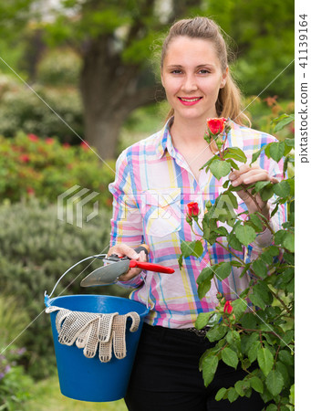 young woman with long curly hair smells roses flower outdoor 41139164