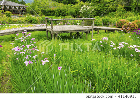 Takiya Arirakamonoen 41140913