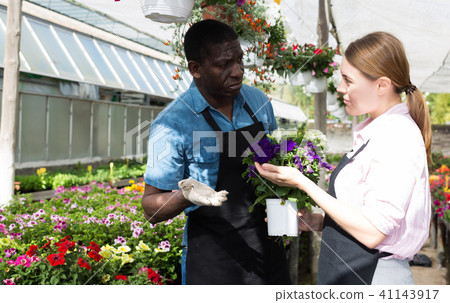 Florists discussing flowers seedlings Florists discussing flowers seedlings 41143917