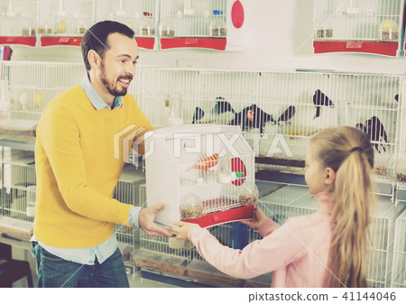 Male seller showing cage with canary bird to girl in pet shop 41144046