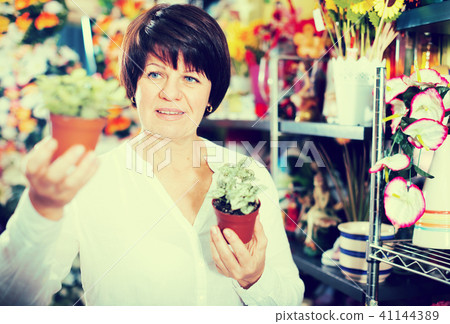 Customer choosing begonia 41144389