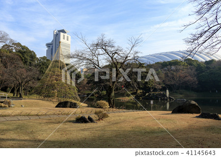 Garden landscape (Tokyo, Korakuen, Autumn) Garden landscape (Tokyo, Korakuen, Autumn) 41145643