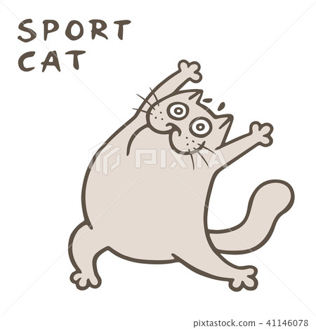 Sport with cute thick cat. Vector illustration Sport with cute thick cat. Vector illustration 41146078