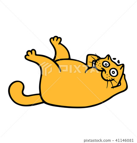 Cute fat orange cat engaged aerobics. Vector Cute fat orange cat engaged aerobics. Vector 41146081