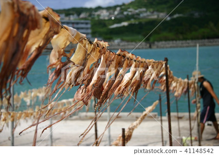 沖繩魷魚 41148542