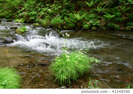 湯川的流動 41148590