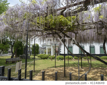 老Nakagome學校 老Nakagome學校 41148649