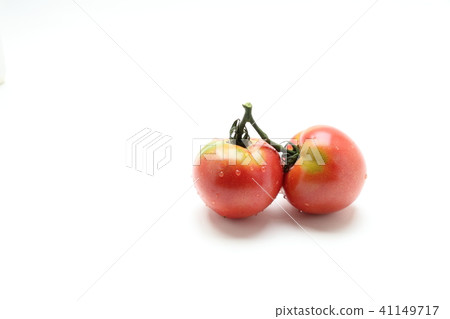 Tomato Tomato 41149717