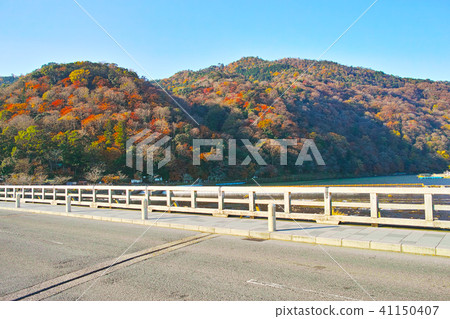 Togetsu bridge in the autumn leaves season 41150407