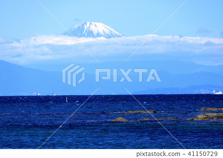 Waterfront scenery (Kanagawa, Nagai, early summer) Waterfront scenery (Kanagawa, Nagai, early summer) 41150729