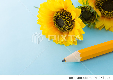 Pencil Pencil 41151408