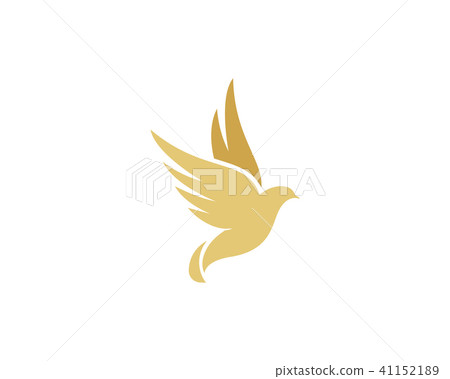 Bird wing Dove Logo Template 41152189
