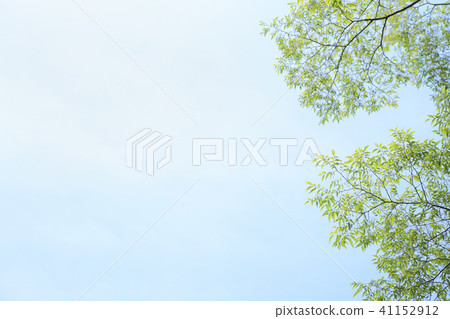 Fresh green and sky Fresh green and sky 41152912