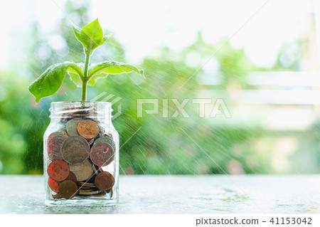 Water spraying the plant growing from coins Water spraying the plant growing from coins 41153042