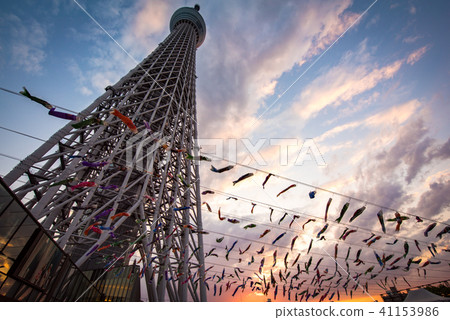 東京天空樹鯉魚飄帶 41153986