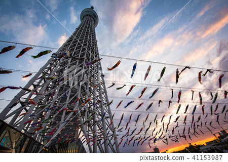 Tokyo Sky Tree Carp streamers 41153987