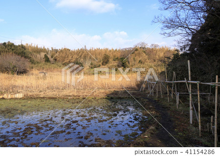 Satoyama Satoyama 41154286