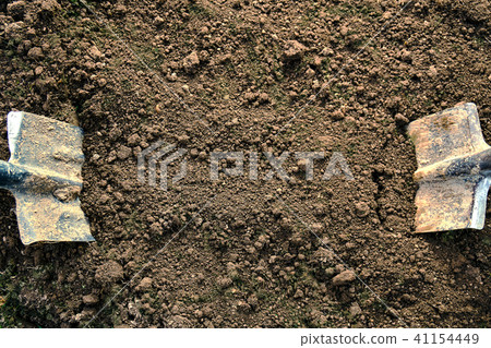 Concept of the agricultural work. Two spades stuck in the dug earth. 41154449