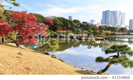 Garden Landscape Tokyo Hamarikyu Autumn Stock Photo