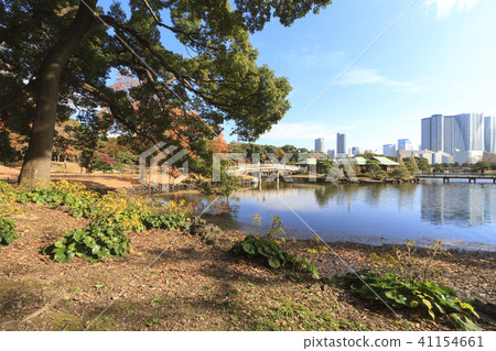 園林景觀（東京，濱離宮，秋天） 41154661