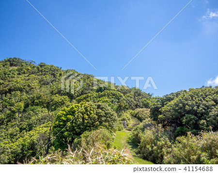 [Izu Peninsula] Sunny, blue sky, early summer highland scenery [Izusan Ridge Sidewalk] 41154688