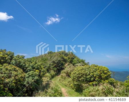 [Izu Peninsula] Sunny, blue sky, early summer highland scenery [Izusan Ridge Sidewalk] 41154689