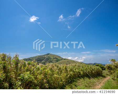 [伊豆半島]陽光明媚，藍天，初夏高原風光[伊豆山嶺人行道] 41154690