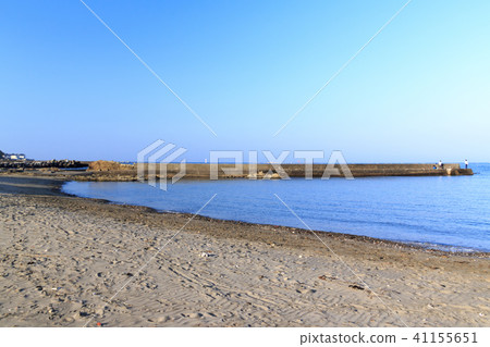 海濱風光（神奈川縣，葉山町，春天） 41155651