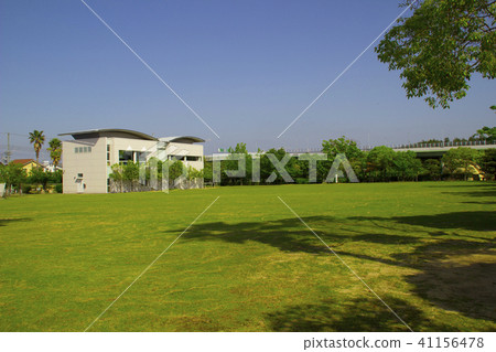 Nichikohama Park / Citizen's Forest / Osaka Prefecture Kaizuka City Dual Colors 41156478