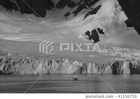 南極景觀 41156710