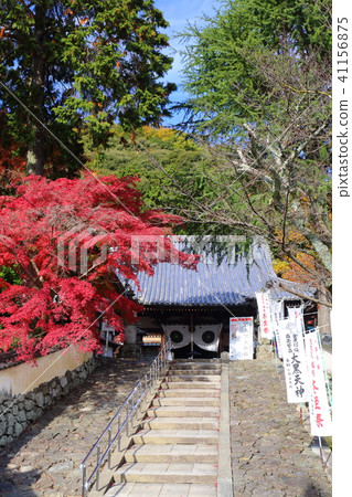 Takaraga-ji寺廟在京都秋天 41156875