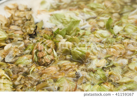 petals and cons of hop on the surface of home beer 41159167