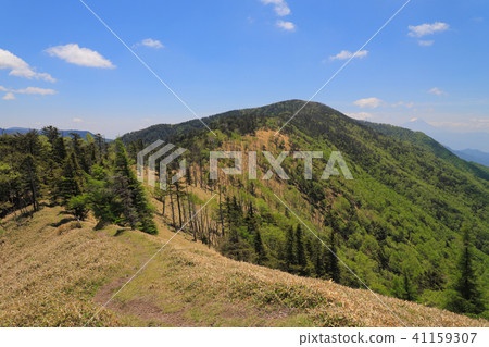 刷新山路徑圖像 刷新山路徑圖像 41159307