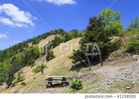 日本三大道Ganzaka Pass 日本三大道Ganzaka Pass 41159308