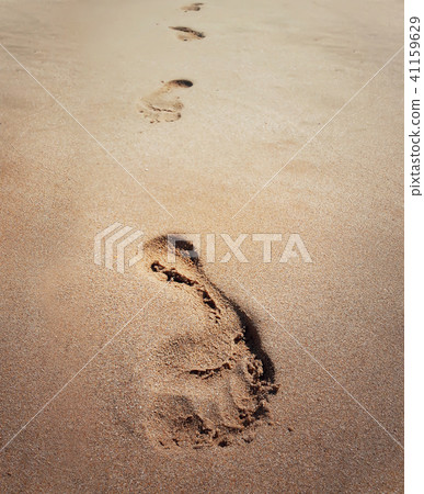 Footprints 41159629