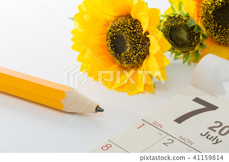 Pencil 41159814