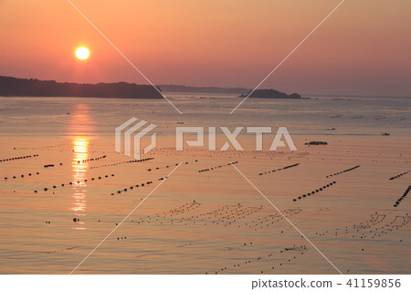 "Miyagi prefecture" Minami Sanriku Shizugawa bay 41159856