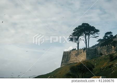 Castle and wall of Baiona, Galicia Spain Castle and wall of Baiona, Galicia Spain 41160676