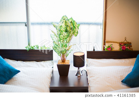 室內植物(仿製) 室內植物(仿製) 41161385