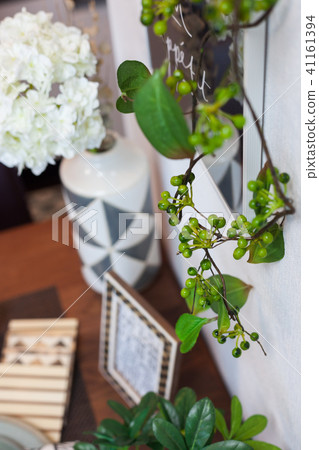 Indoor plants (imitation) Indoor plants (imitation) 41161394